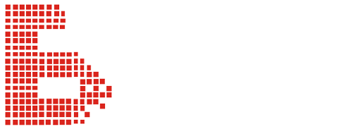 Website Development Services-BainBridge IT Solutions LLP