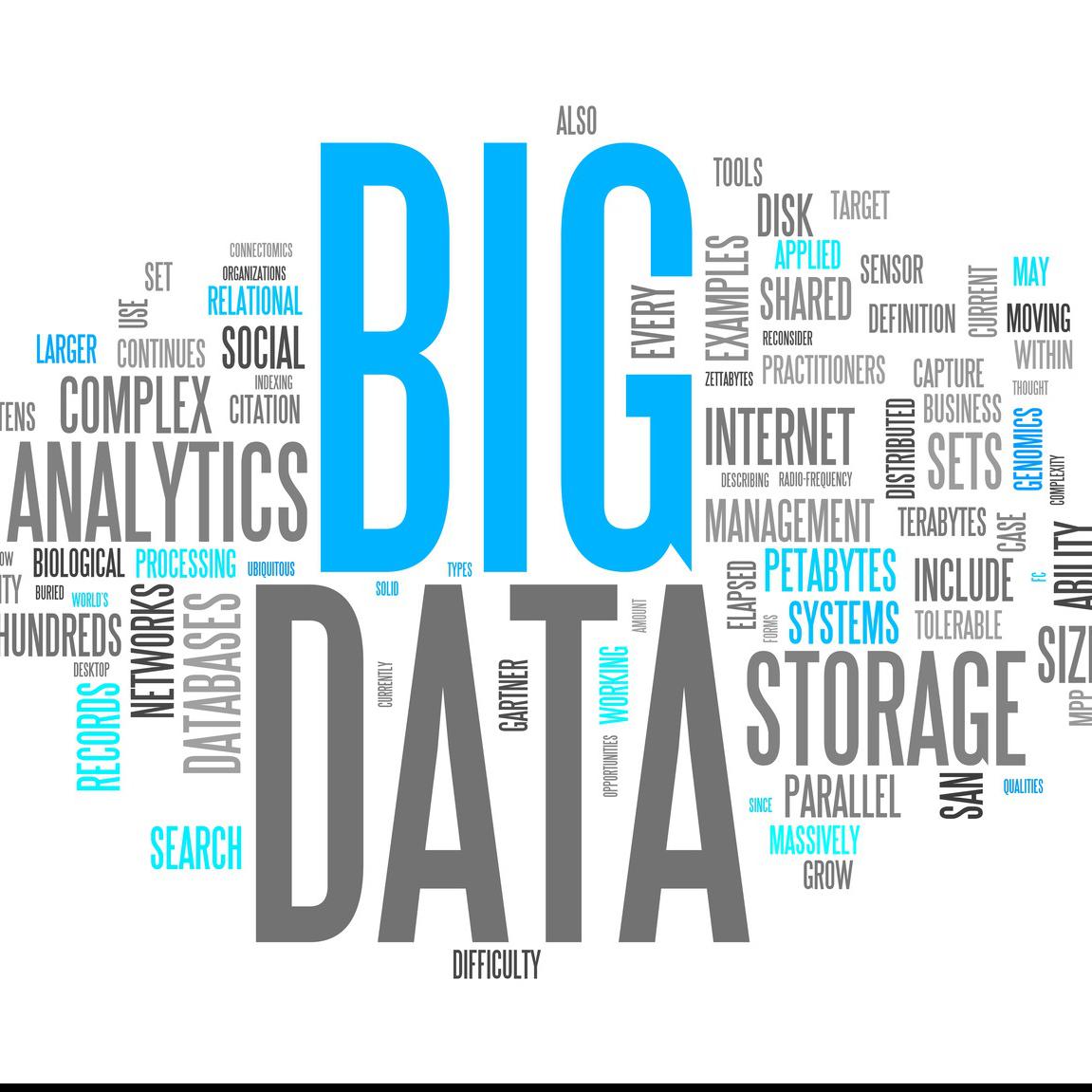 -nichebees techno solutions pvt ltd