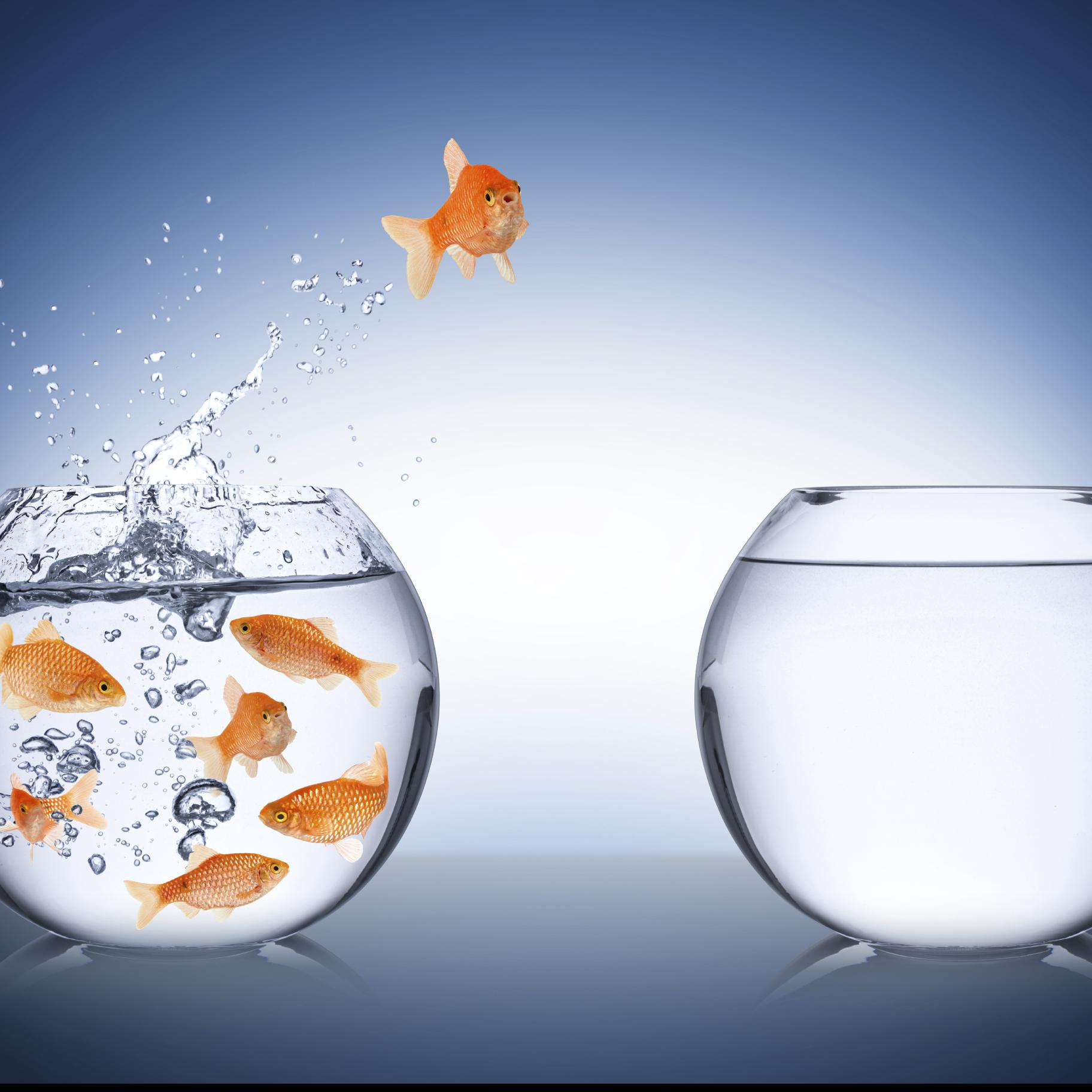 Training on CHANGE MANAGEMENT-Continuing Education & Training Centre