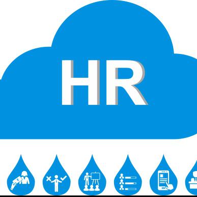HR Cloud Platform ( HRIS )-Husys Consulting Limited