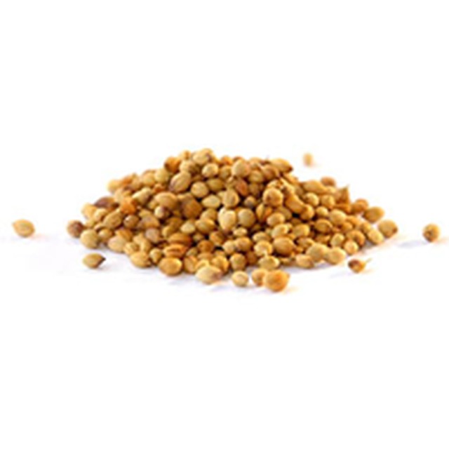 CORIANDER SEEDS-Gangai Exports