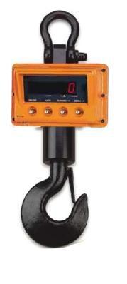 crain scale for big industries-shree jagannath weighing