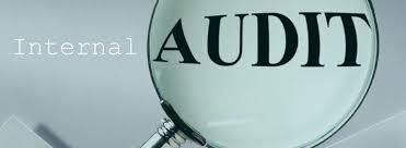 INTERNAL AUDIT SERVICES-Madan Ahuja & Associates