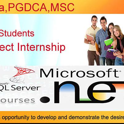 web devlopment-nmd software & netwrok opc pvt ltd