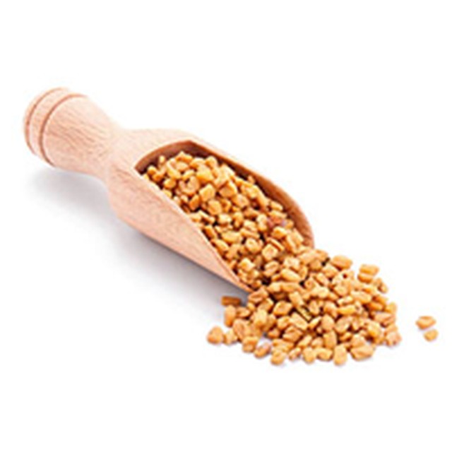 FENUGREEK SEEDS-Gangai Exports
