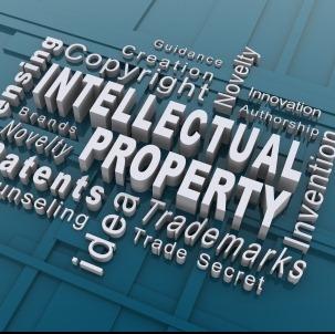 INTELLECTUAL PROPERTY SERVICES-IPNeeti