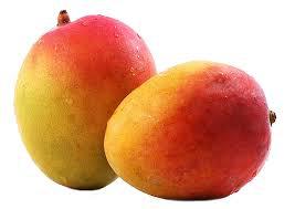 mango-ayyappan import and export