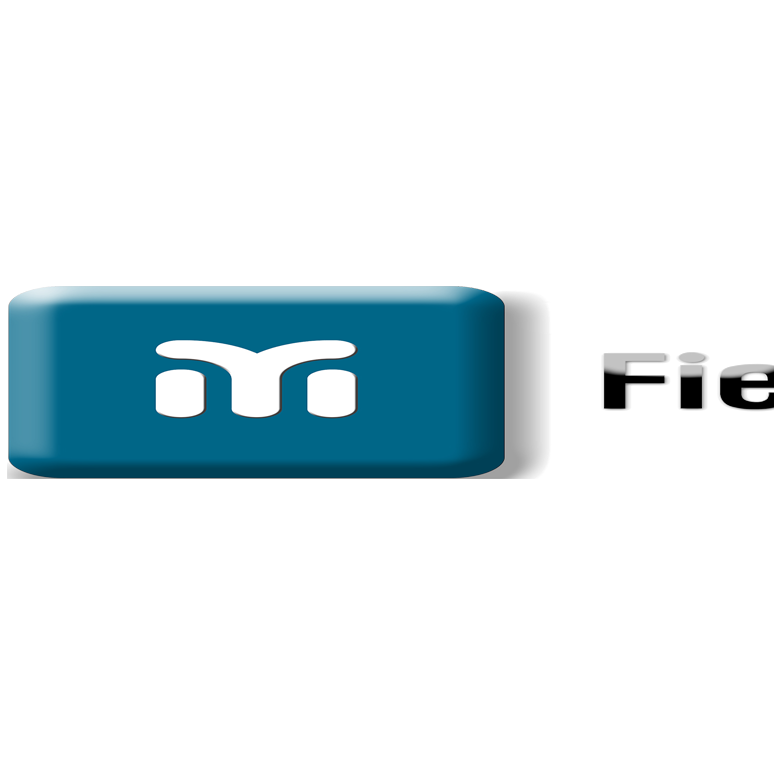 mFieldForce-Saral Technomart Pvt Ltd