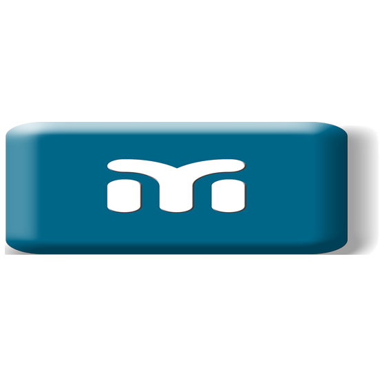 mAudit-Saral Technomart Pvt Ltd