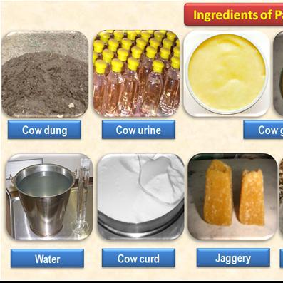 Panchagavya-Siruvani Uzhavar Producer Company 