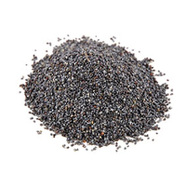 POPPY SEEDS-Gangai Exports