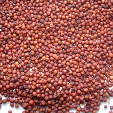 Ragi (Finger Millet)-Srinivasa Agro Industries