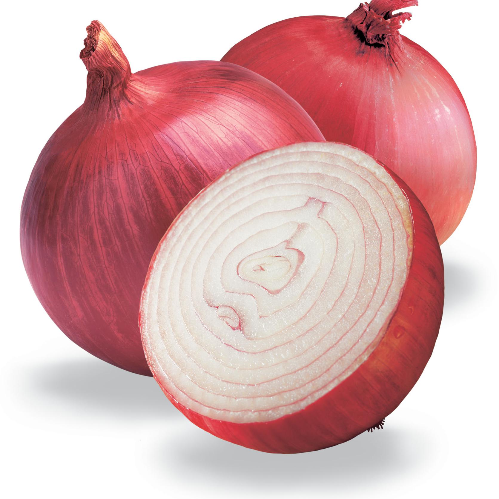 ONION-Panicle Exports Pvt.Ltd.