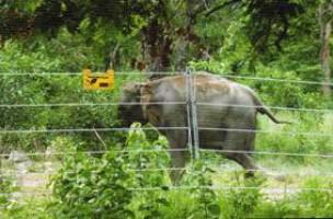 solar elephant fencing  -AADHI SOLAR