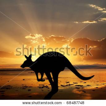 INTERNATIONAL TOURS -welgrow travels pvt ltd