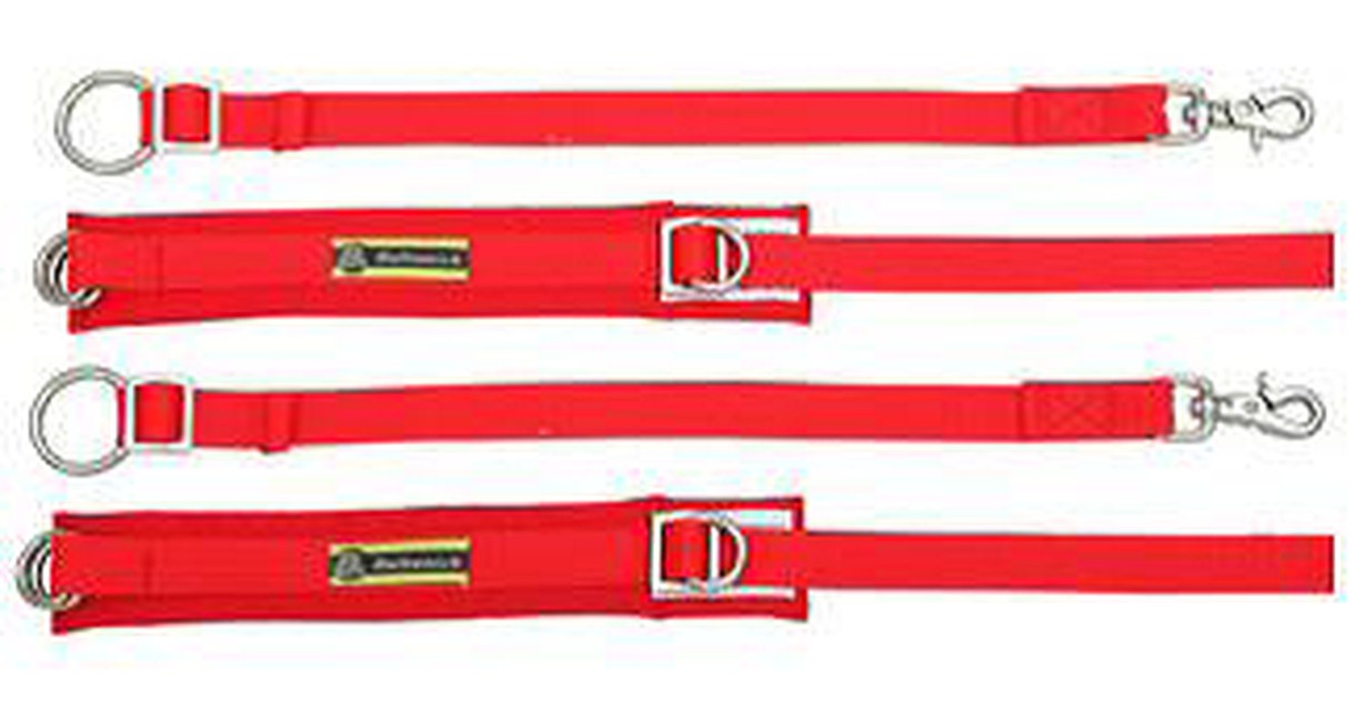 ARM RESTRAINT-D'TASK AUTO RENNEN INDIA