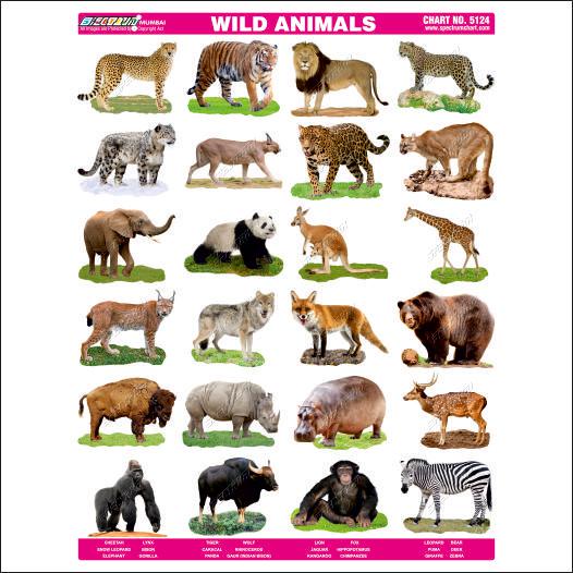 Double Premium Wild Animals Sticker Chart-Skylark Printers