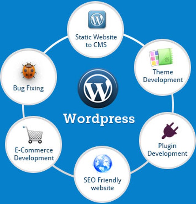 Wordpress Development Services-Technosarjan