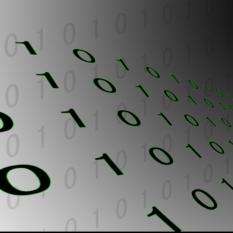 Data Management Services