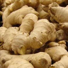 Nepali Processed Ginger