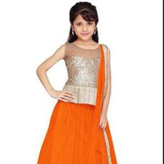 SR Creation Orange Net Lehenga