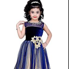 SR Creation Blue Net Gown