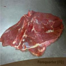 Forequarter 
