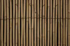 BAMBOO CEILING (1322)