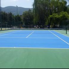 Acrylic Synthetic Flooring