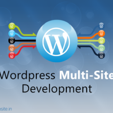 Wordpress Multisite development