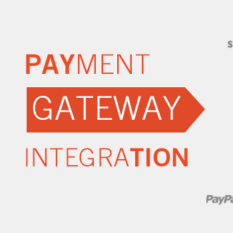Magento Payment Gateway Integration Service