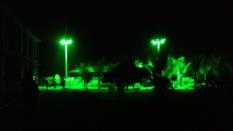 LED lighting solutions special purpose green led lighting 