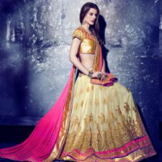 Designer Embroidered Lehenga
