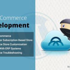 Woocommerce Development 