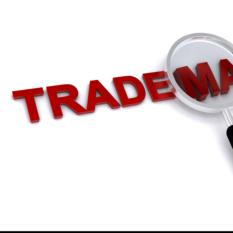 TRADEMARK SERVICES
