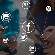 Web and Software Solution