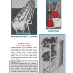 Preparation & Sorting Conveyors