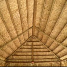 BAMBOO CEILING (413)