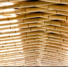 BAMBOO CEILING (414)