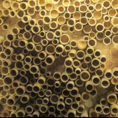 BAMBOO CEILING (416)