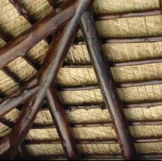 BAMBOO CEILING (418)