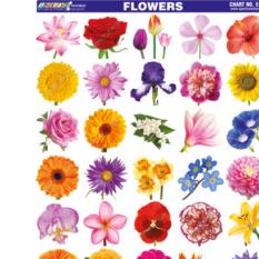 Flowers Sticker Chart