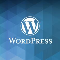 Wordpress Development