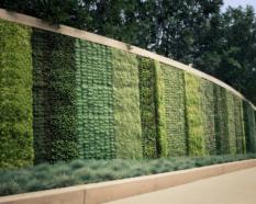 VERTICAL GARDEN (929)