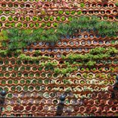 VERTICAL GARDEN (922)