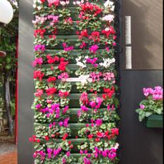 VERTICAL GARDEN (930)