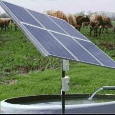 solar pump  