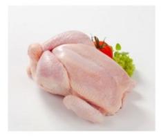 Halal Grade A Frozen Chicken Feet, Paws