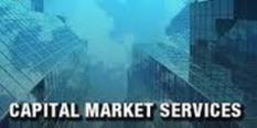 CAPITAL MARKET SERVICES