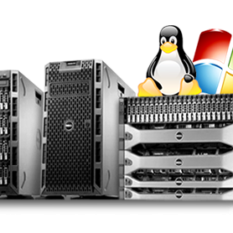 Dedicated Server